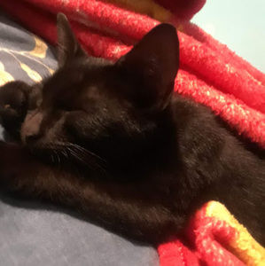 Meet your Posher, Kimberly